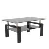 Rectangle Black Glass Coffee Table, Clear Coffee Table,Modern Side Center Tables for Living Room, Living Room Furniture